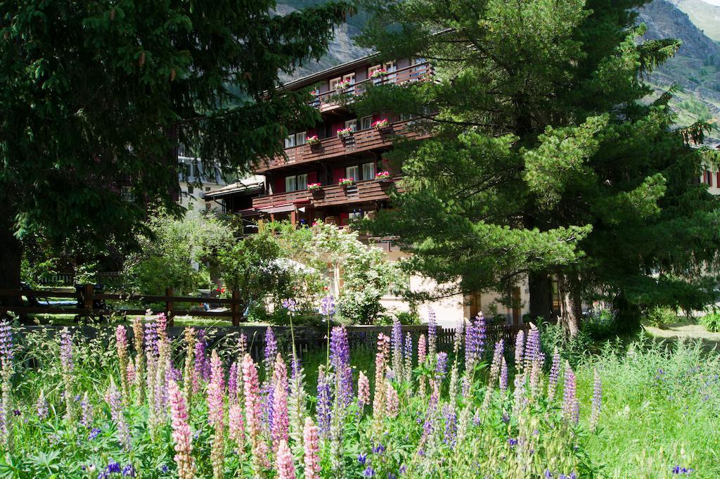 Hotel Alpina Zermatt Zewnętrze zdjęcie